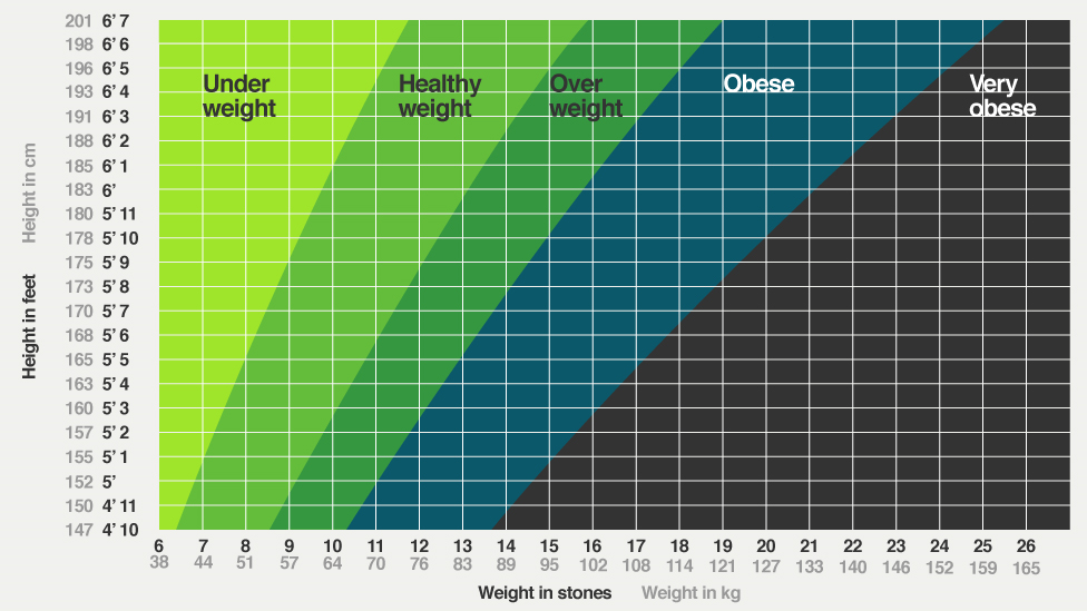 how do i know if i m fat