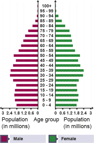 The UK's population pyramid has most people in the 30-39 age range, with number decreasing sharply after 55.