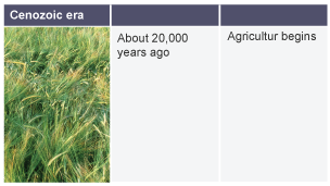 About 20,000 years ago: agriculture begins.