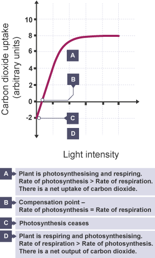 Factors Affecting Photosynthesis Photosynthesis Aqa Gcse Combined