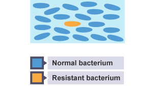 Diagram showing normal bacteria and one resistant bacterium