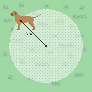 A dog standing on the outer edge of a circle with a radius of 3 m