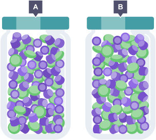 Jars of sweets (A and B)