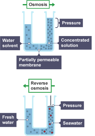 The processes of osmosis and reverse osmosis are needed in the production of drinkable water