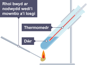 Tiwb profi llawn dŵr â thermomedr yn y tiwb. Mae bwyd yn llosgi ar nodwydd wedi'i mowntio ac yn cael ei ddal o dan y tiwb.