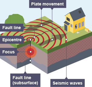 The focus is the underground point on the fault line from which the seismic waves radiate from. The point on the surface directly above is the epicentre.