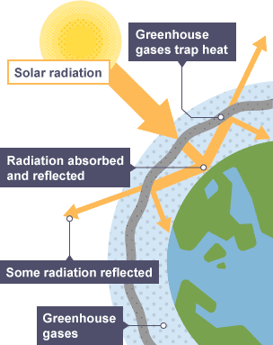 The Earth absorbs and reflects solar radiation. Greenhouse gases trap heat and warm the Earth. Some radiation is refected away from the Earth. Pollution adds to greenhouse gases.