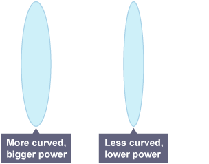 Two lenses in an oval shape. One is more curved for bigger power, the other is less curved for lower power.