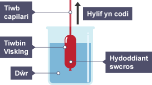 Tiwb capilari yn arwain at diwbin visking, yn llawn hydoddiant swcros mewn bicer llawn dŵr. Saeth tuag i fyny yn dangos hylif yn codi. Mae'r dŵr yn las a'r hydoddiant yn goch.