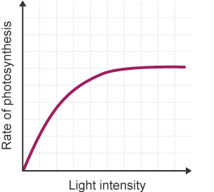 Graph on light intensity 