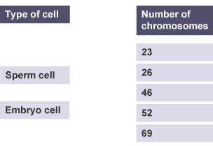 Draw lines from each type of cell to the correct number of chromosomes.