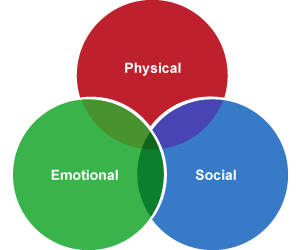 Physical intellectual emotional discount social