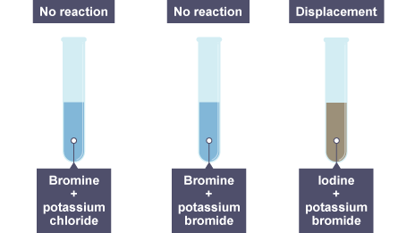 Halogen displacement reactions Group 7 the halogens Edexcel