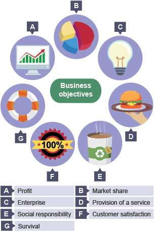 Business objectives - Profit, Market share, Enterprise, Provision of service, social responsibility, customer satisfaction, survival