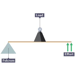 Seesaw showing the fulcrum at right end, load in the middle and effort at left end