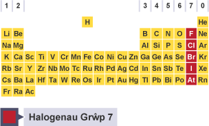 Y tabl cyfnodol ag elfennau grŵp 7 wedi'u hamlygu: fflworin, clorin, bromin, ïodin ac astatin