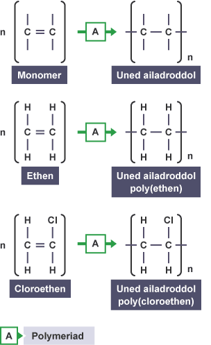 Ar ôl polymeru: Monomer ethen, uned ailadroddol polyethen, bondiau sengl rhwng yr atomau carbon. Monomer cloroethen, uned ailadroddol polycloroethen, bondiau sengl rhwng yr atomau carbon.