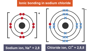 Sodium ion with 10 dot electrons and a charge of 1 plus, and a chloride ion with 15 cross electrons and one dot electron, and a charge of 1 minus.