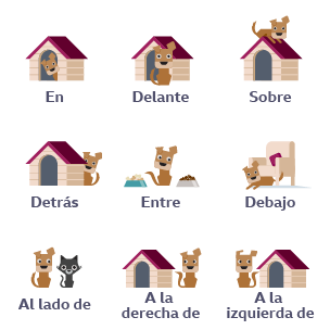 Prepositions in Spanish include 'en', 'delante', 'sobre', 'detrás', 'entre', 'debajo', 'al lado de', 'a la derecha de' and 'a la izquierda de'.