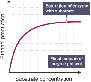 Enzymes and substrates graph