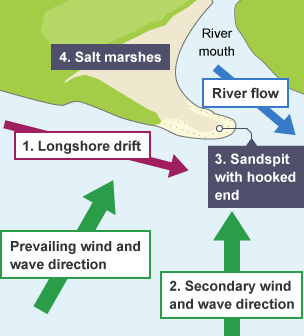 Longshore drift occurs along a beach, due to the prevailing wind and wave direction. The secondary wind and wave direction causes a sandspit with a hooked end. Salt marshes form behind the sandspit.