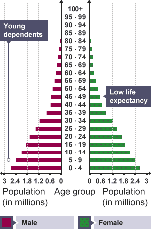 Graph showing the population pyramid of an LEDC (Mozambique).