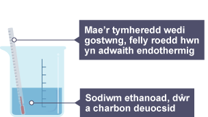 Mae'r bicer nawr yn cynnwys sodiwm ethanoad, dŵr a charbon deuocsid, ac mae'r thermomedr yn dangos bod y tymheredd wedi gostwng, felly roedd hwn yn adwaith endothermig.