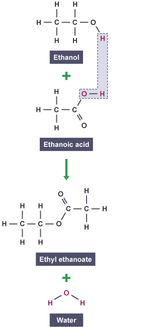 Carboxylic Acids More Organic Chemistry Aqa Gcse Chemistry