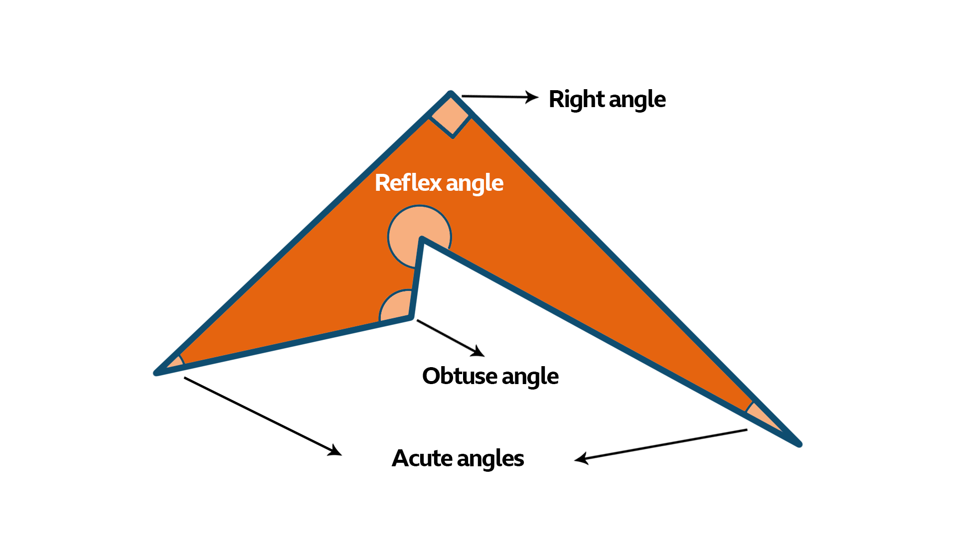 Illustration of a shape with various types of angles within it