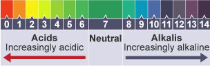 A pH scale. Acids are numbered 0 to 6 and go from red to green in colour. 0 is the most acidic with 6 being the least. Neutral is in the middle has the number 7 and is dark green. Alkalis range from 8 to 14 going from a light green to dark purple. 8 is the least alkalic with 14 being the most.