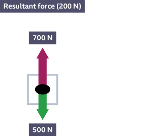 A diagram of two arrows. One arrow points upwards and is labelled 700 N. The other points downwards and is labelled 500 N. The resultant force is 200 N.