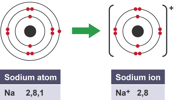 Forming negative and positive ions - Bonding - (CCEA) - GCSE Chemistry  (Single Science) Revision - CCEA - BBC Bitesize