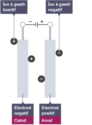 Dau electrod wedi’u cysylltu â chell. Mae'r electrod negatif (catod) yn atynnu ïǲԲ positif ac mae'r electrod positif (anod) yn atynnu ïǲԲ negatif.