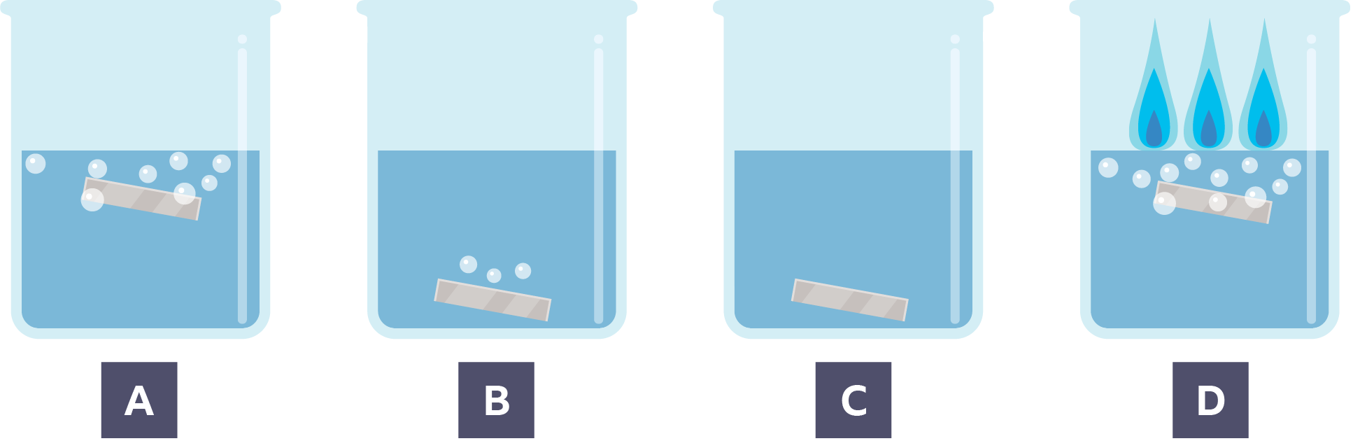 Four beakers with a different metal element dropped in water. Each one has a different reaction. The first one has considerable bubbling and has risen to the surface. The second has a few bubbles. The third has no reaction. The fourth has lots of fizzing and the metal has risen to the surface and set alight.