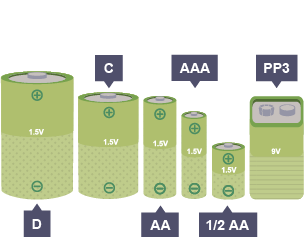 Four different sized 1.5 V batteries (C, AA, AAA and a half AA) and a 9 V PP3 battery.