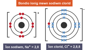 Ïon sodiwm â 10 electron dot a gwefr o 1 plws, ac ïon clorid ag 15 electron croes ac un electron dot, a gwefr o 1 minws.