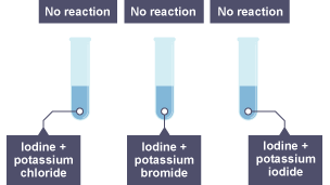 The first tube contains iodine and potassium chloride, the second contains iodine and potassium bromide and the third contains iodine and potassium iodide. All three are labelled 'no reaction'.