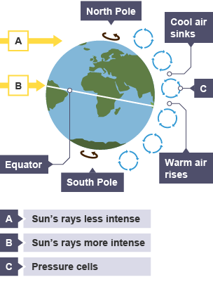 Diagram showing the Equator, the north and south poles and pressure cells