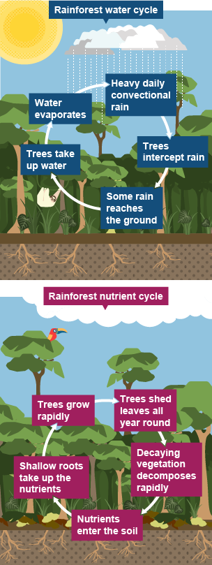 Bbc Bitesize Water Cycle Gcse