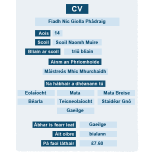 CV Fiadh Nic Giolla Phadráig - bearnaí líonta