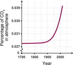 Increase of Carbon Dioxide over the years.