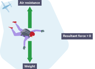 Terminal velocity - Forces and movement - KS3 Physics - BBC Bitesize