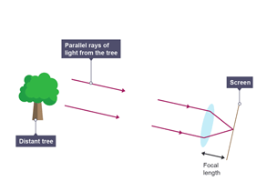 How to measure the focal length of a converging lens using a distant object 