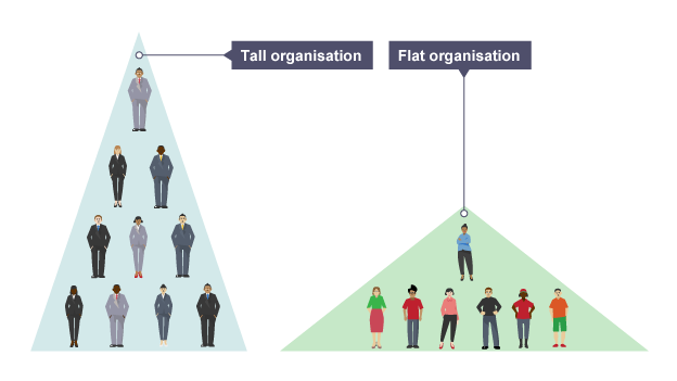Tall and flat organisations - Structures - Higher Business
