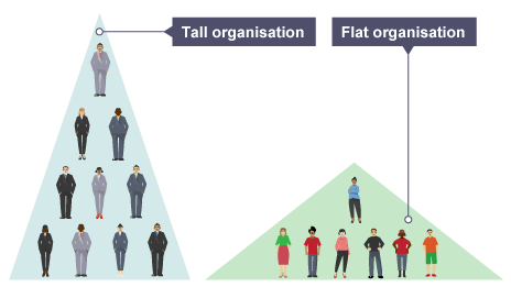 Tall in the Workplace