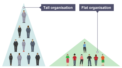 Tall and flat organisations - Structures - Higher Business management  Revision - BBC Bitesize