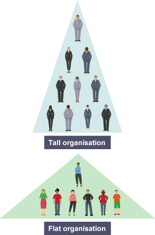 Tall and flat organisations - Structures - Higher Business