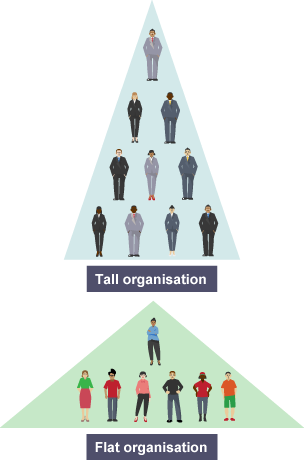 Tall and flat organisations - Structures - Higher Business management  Revision - BBC Bitesize