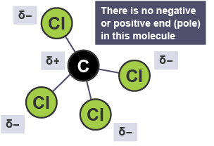 Carbon tetrachloride molecule is slightly positive around central carbon atom. It’s  surrounded by three slightly negative chlorine atoms. Non-polar due to charges not being at either end of molecule.