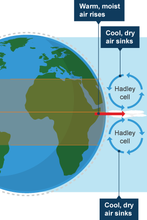 Animal adaptation to the tundra climage - Tundra regions of the world - 3rd  level Geography Revision - BBC Bitesize